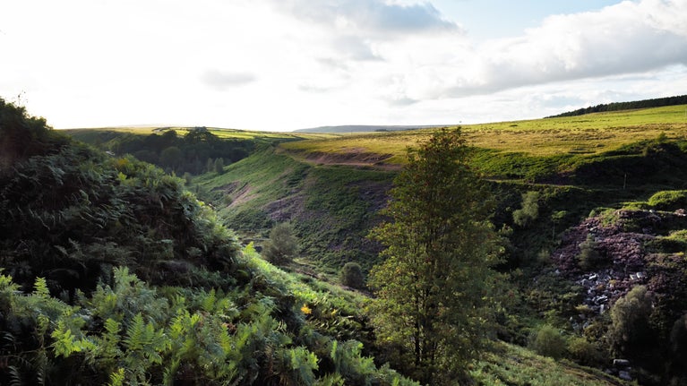 A view over a rocky and grassy valley at Hardcastle Crags on a cloudy day